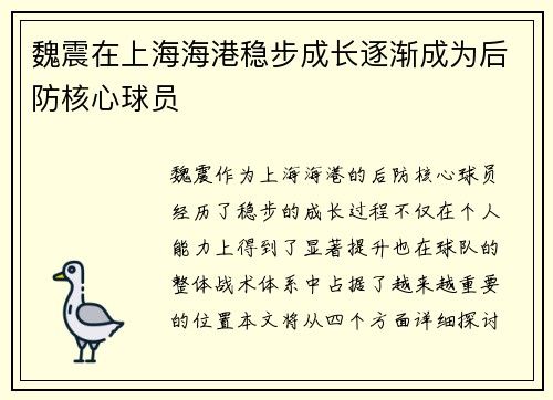 魏震在上海海港稳步成长逐渐成为后防核心球员